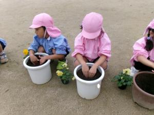 植える穴を掘ろう