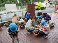 花咲きロード11・6②