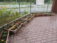 花咲ロード11.6⑤