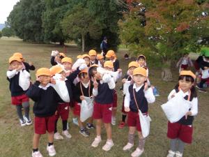 2組ドングリを見せています