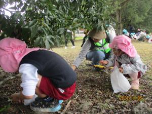 ほし組　地域の方とドングリを拾っています