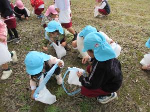 そら組　ドングリを拾っています