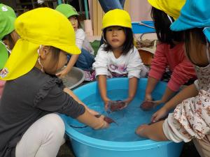 サツマイモを洗う子ども達
