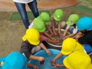 焼き芋の準備で芋を洗う子ども達