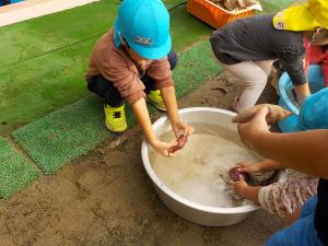 芋を洗う５歳児