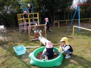 佐保幼　11月7日ドングリ転がし