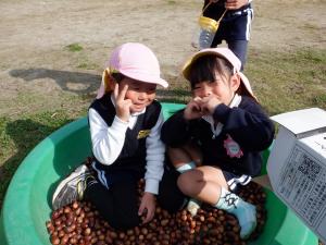 佐保幼　11月7日ドングリ転がし3