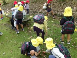 どんぐりみつけた