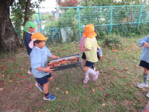 落ち葉拾いにじそら