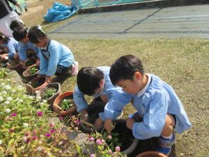 ネームプレート