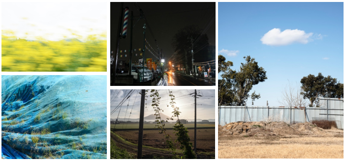 中古(ちゅうこ) 樹(いつき)「路傍(ろぼう)の光(ひかり)」（82枚組）画像