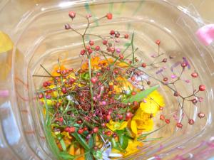 色んな草花を摘みました