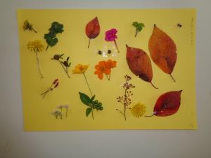 散歩で拾った葉っぱや草花です