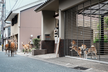 特別賞 薬丸 冬哉「面会」（単写真）