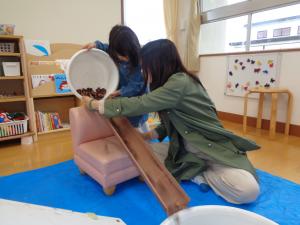 トイの上にドングリを転がして遊んでいます