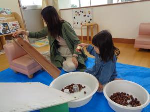 ドングリ転がしをしています