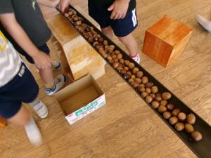 どんぐりころがし