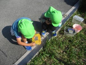 この葉っぱがいいかなあ