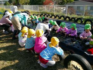 4歳児が植える様子を見ている3歳児