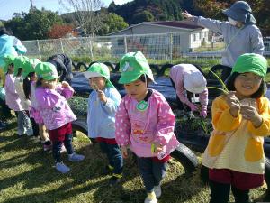 4歳児苗の匂いをかいでいます