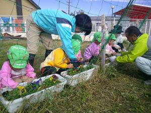 園長先生と畑の先生と一緒に植えている4歳児