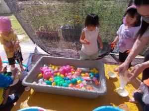 たらいで水遊びをしています