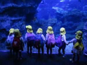 3歳児水槽を見ているところ