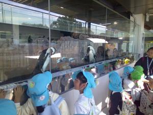 ５歳児ペンギンを見ているところ