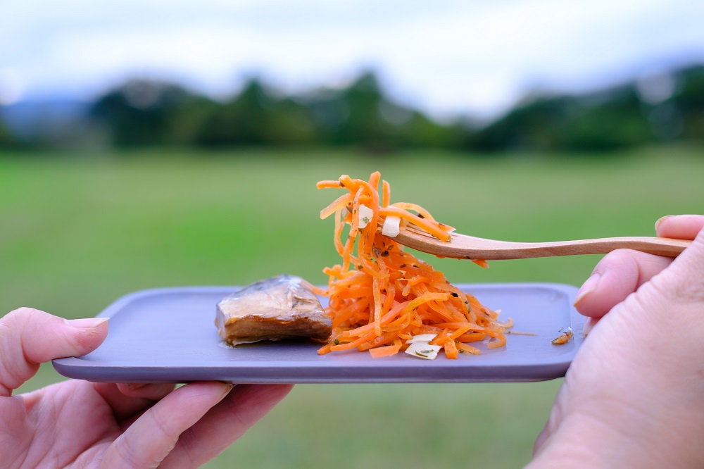 ピクニックin 平城宮跡 (photo by mitto) くらしの風景