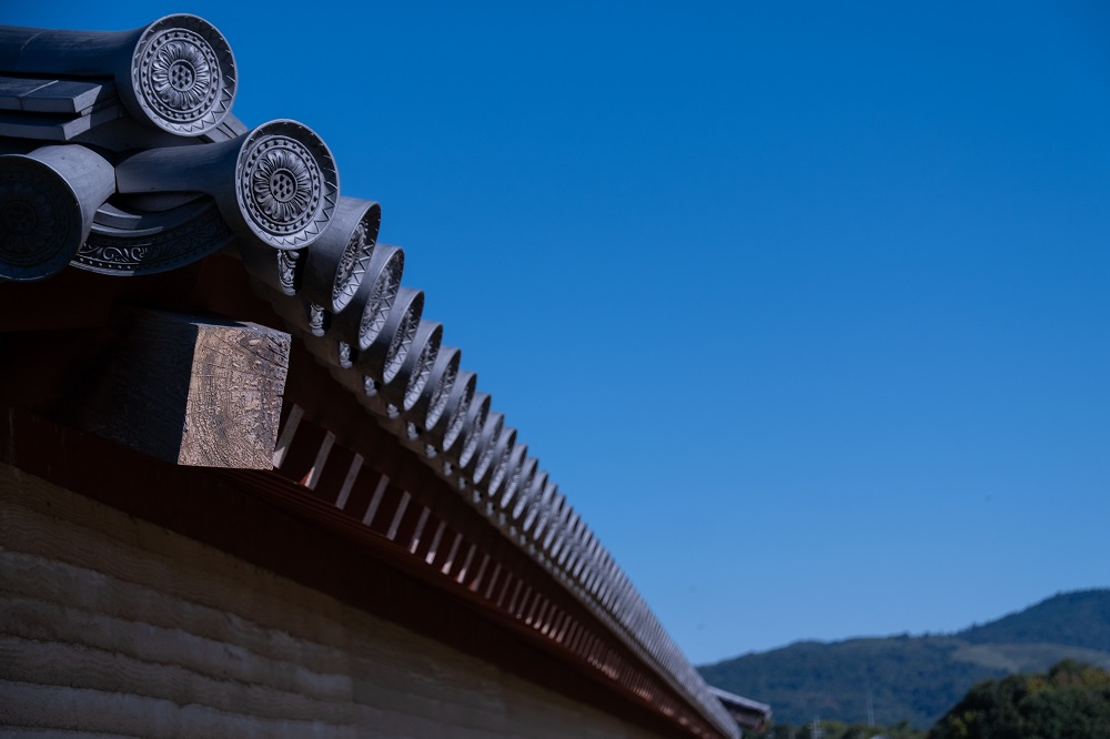 ピクニックin 平城宮跡 (photo by mitto) くらしの風景