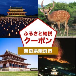 アソビューふるさと納税の画像