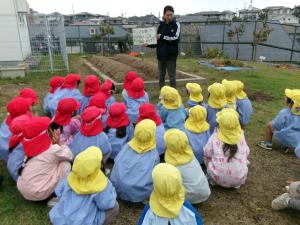 玉ねぎを植えました