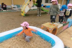 藁のプールにジャーンプ！