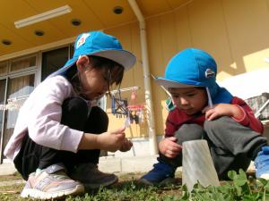 アリさんいるかな？