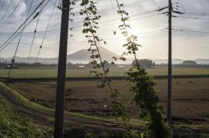 「路傍の光」優先順位①2225-11_2209_DSC6711