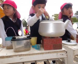 ドングリのお茶