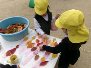 きれいな葉っぱ