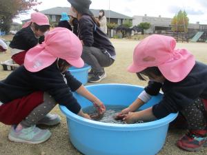 ほし組が芋をあらっています