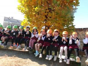 年長　焼き芋を食べています