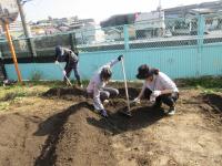 いもほり・玉ねぎ