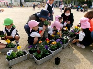 植えられるかな