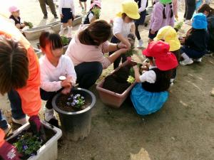 優しく優しく植えようね