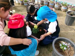 土の布団をかけよう