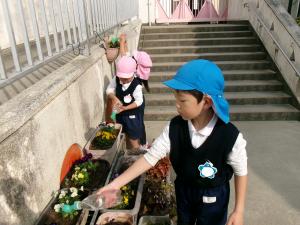 水やりをしよう