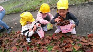 落ち葉を拾っている3歳児