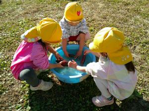 3歳児がおいもを洗っています