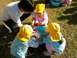 おいもを洗っている3歳児