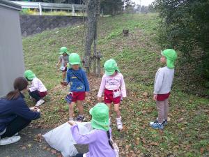 4歳児落ち葉を拾っています