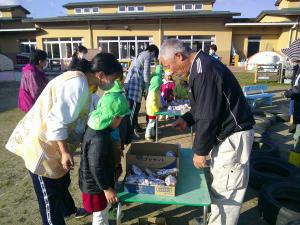 おいもを選んでいます