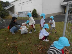 5歳児　落ち葉拾い